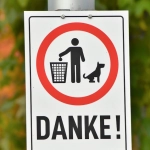 Схема регулирования немецких онлайн-казино и игорных платформ