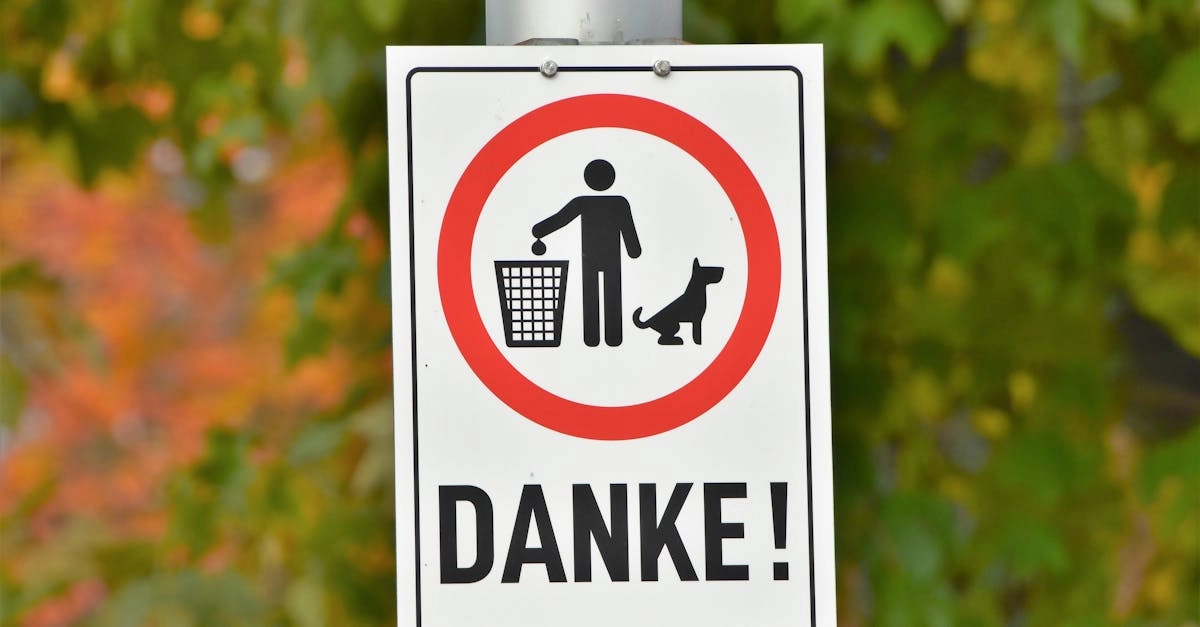 Схема регулирования немецких онлайн-казино и игорных платформ