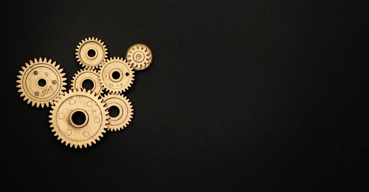 Технический анализ игрового автомата Wolf Gold - схема и механика