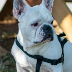 Программы лояльности казино без депозита