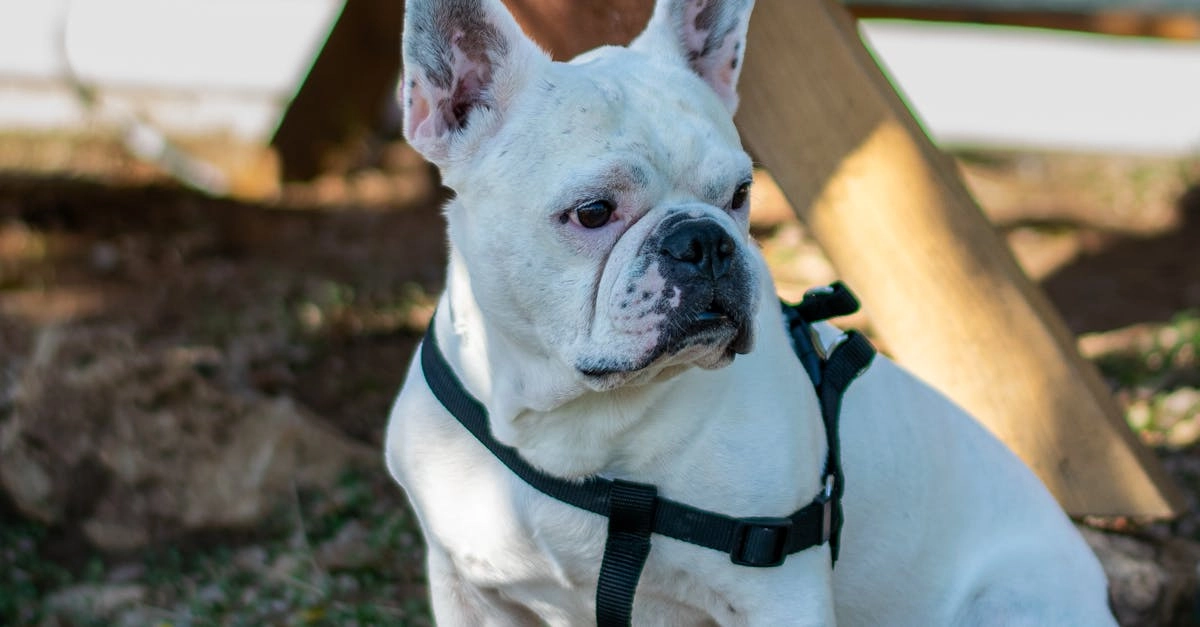 Программы лояльности казино без депозита